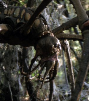 Arachnid (2001)